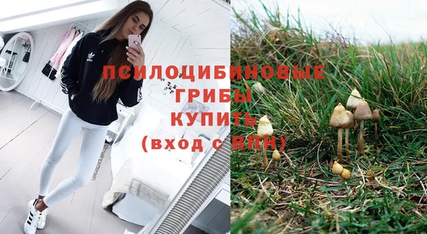 мяу мяу мука Абинск