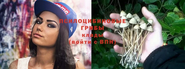 дурь Абдулино