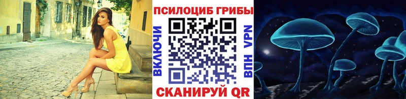 Псилоцибиновые грибы прущие грибы купить наркоту Новокузнецк