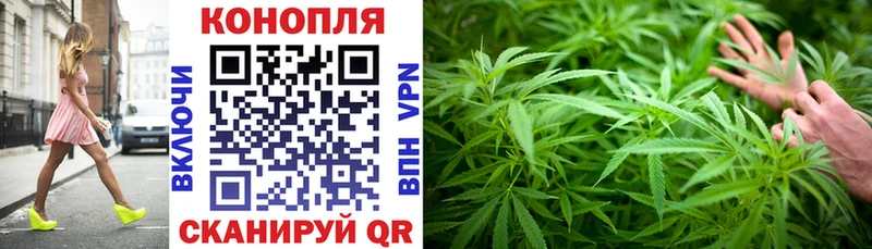 как найти закладки  Новокузнецк  Бошки Шишки Amnesia 